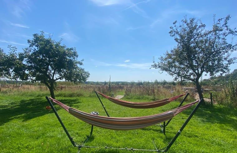 Hammocks in the garden of Holiday Home in Wijhe, Salland, Overijssel.