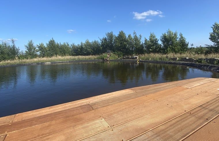 Pond with wooden platform at cottage in Wijhe, Salland, Overijssel.