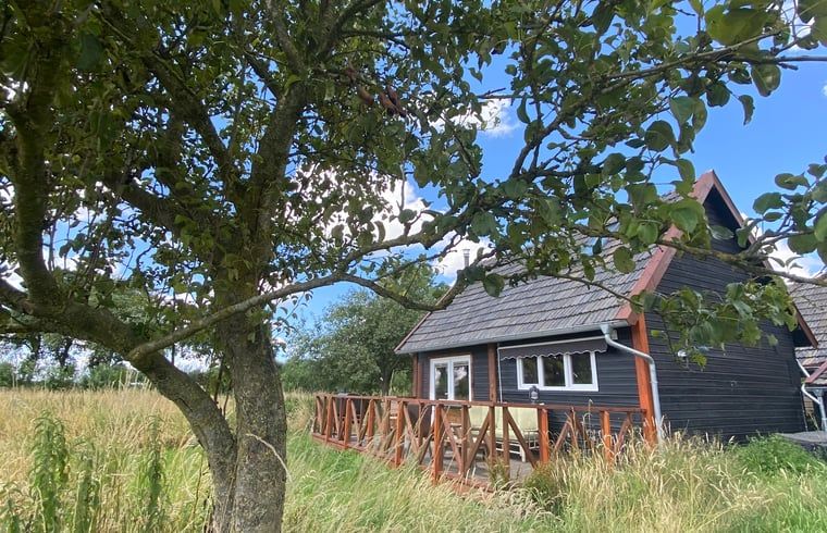 Vacation cottage in Wijhe surrounded by trees in Salland, Overijssel.