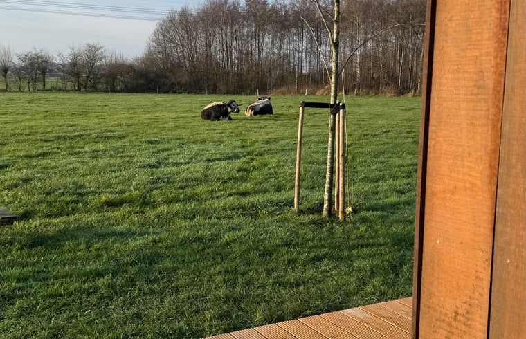 Unterkunft 530510 - Ferienhaus Salland - Vakantiehuisje in Wijhe