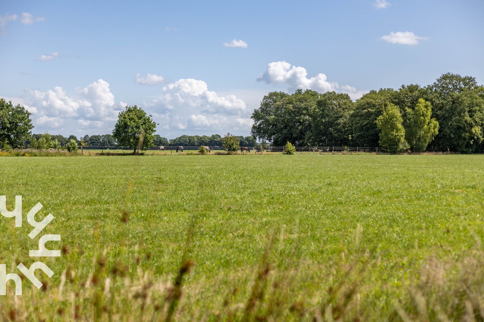 Blumen und Gras am Zaun des Ferienhauses OV243 in Luttenberg, Salland.