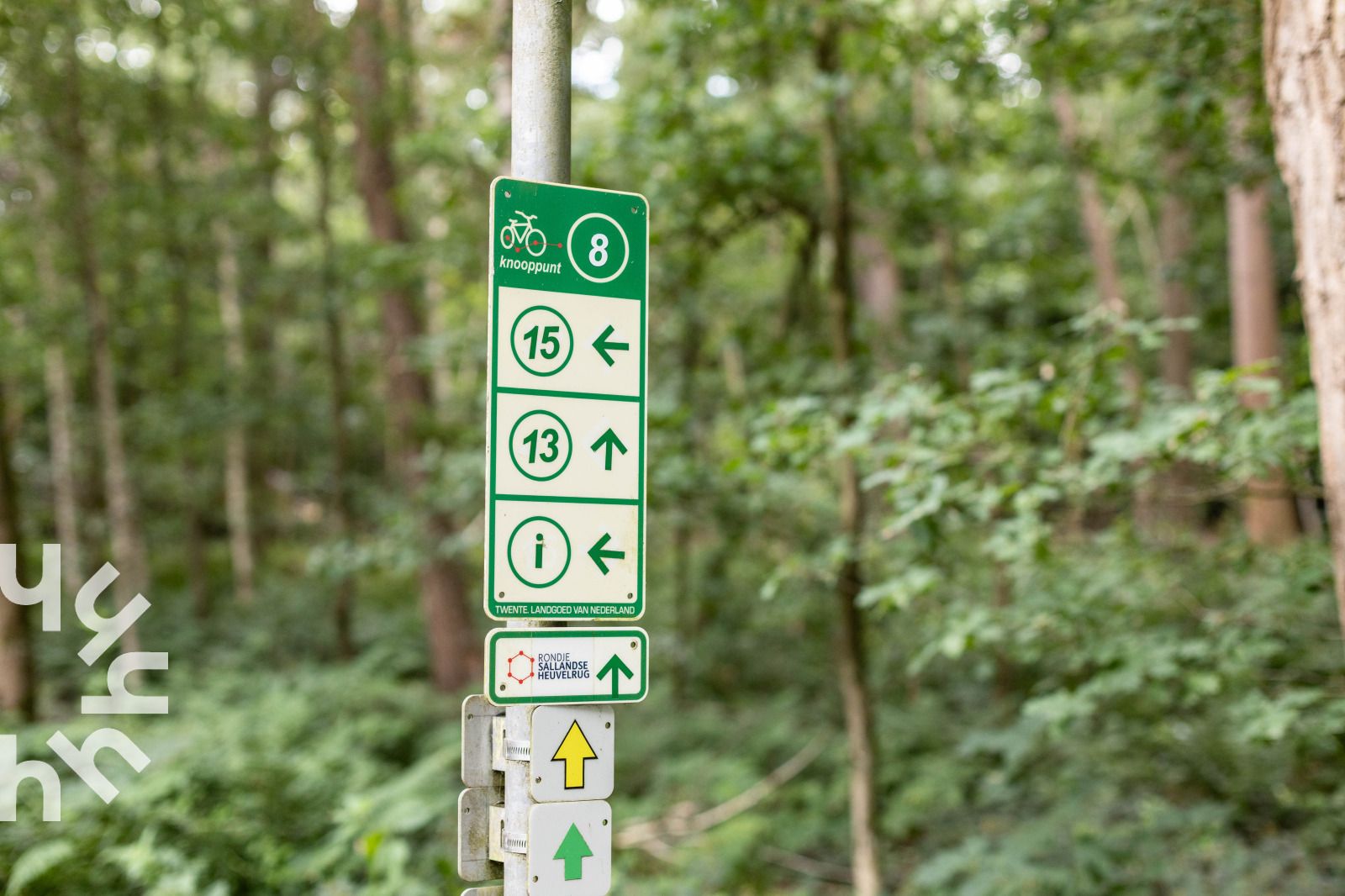 Schattiger, von Baeumen umgebener Weg in der Naehe des Ferienhauses OV243 in Luttenberg.