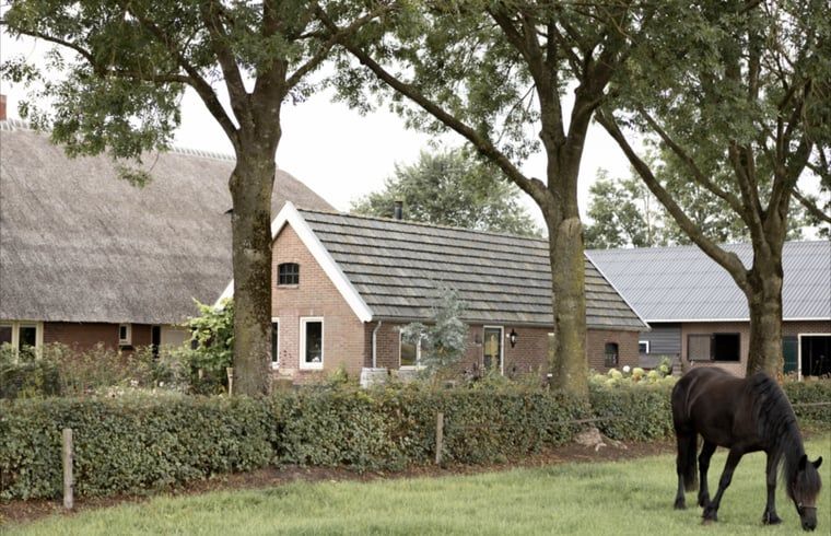 Unterkunft 530613 - Ferienhaus Salland - Vakantiehuisje in Luttenberg