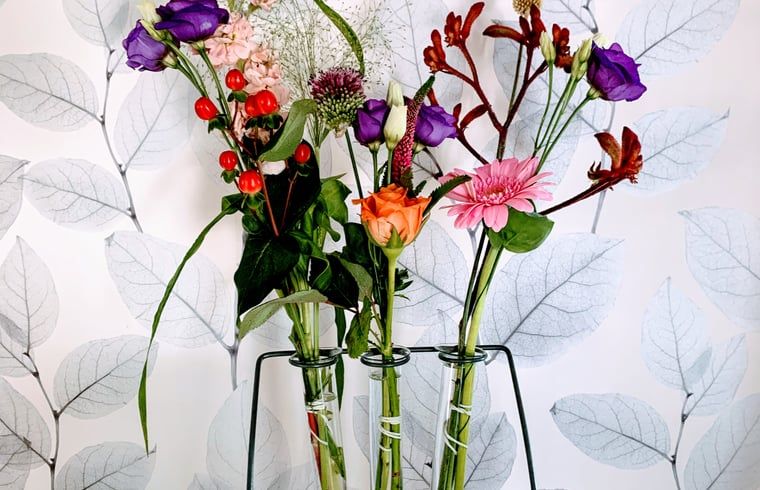 Fresh flowers in Cottage in Zwolle, vacation accommodation in Salland, Overijssel.