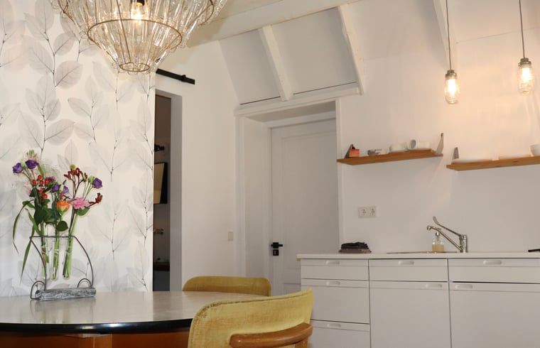 Modern kitchen in Cottage in Zwolle, vacation accommodation in Salland, Overijssel.