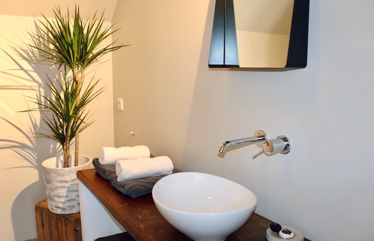 Modern bathroom in Cottage in Zwolle, vacation home in Salland, Overijssel.