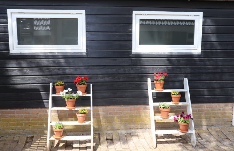 Outdoor terrace with flowers at Huisje in Zwolle, vacation home in Salland, Overijssel.
