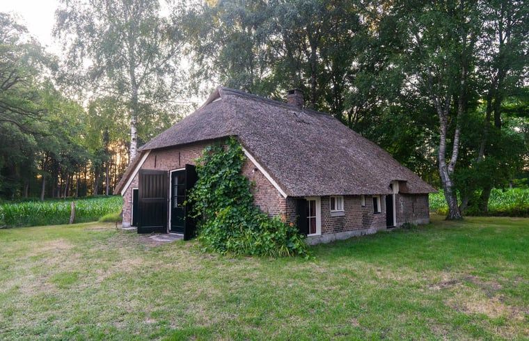 Verblijf 531005 - Vakantiewoning Salland - Vakantiehuisje in Raalte