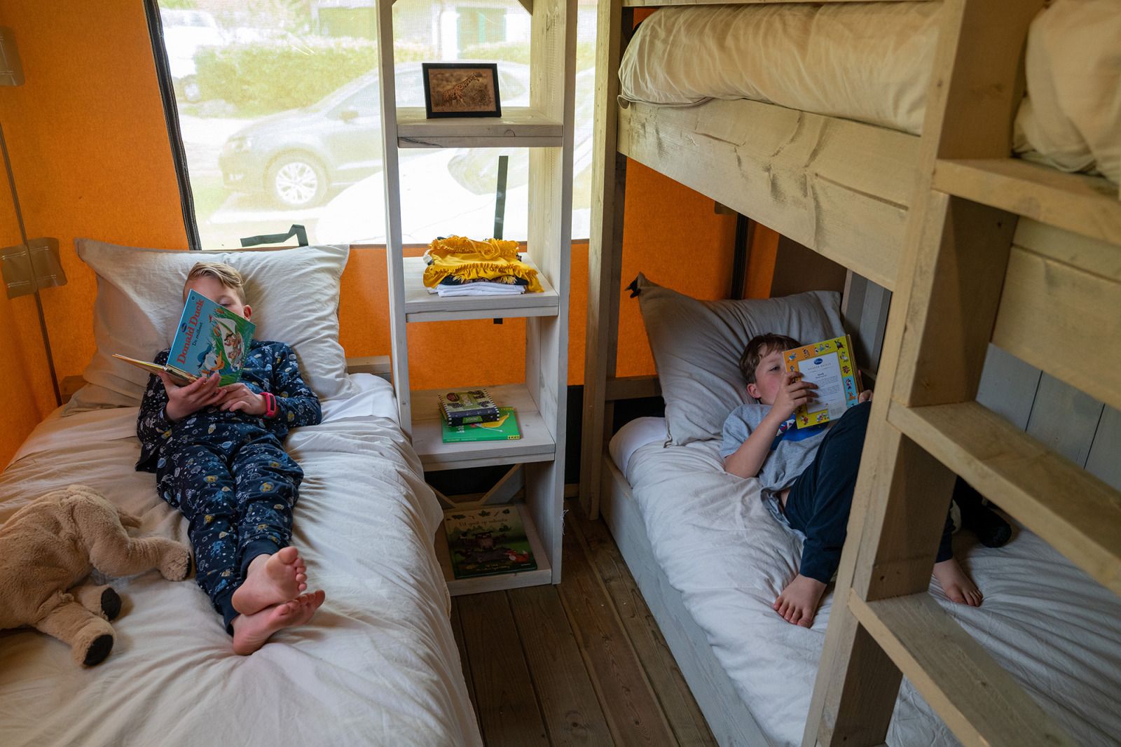 Unterkunft 531009 - Ferienhaus Salland - Rangerlodge