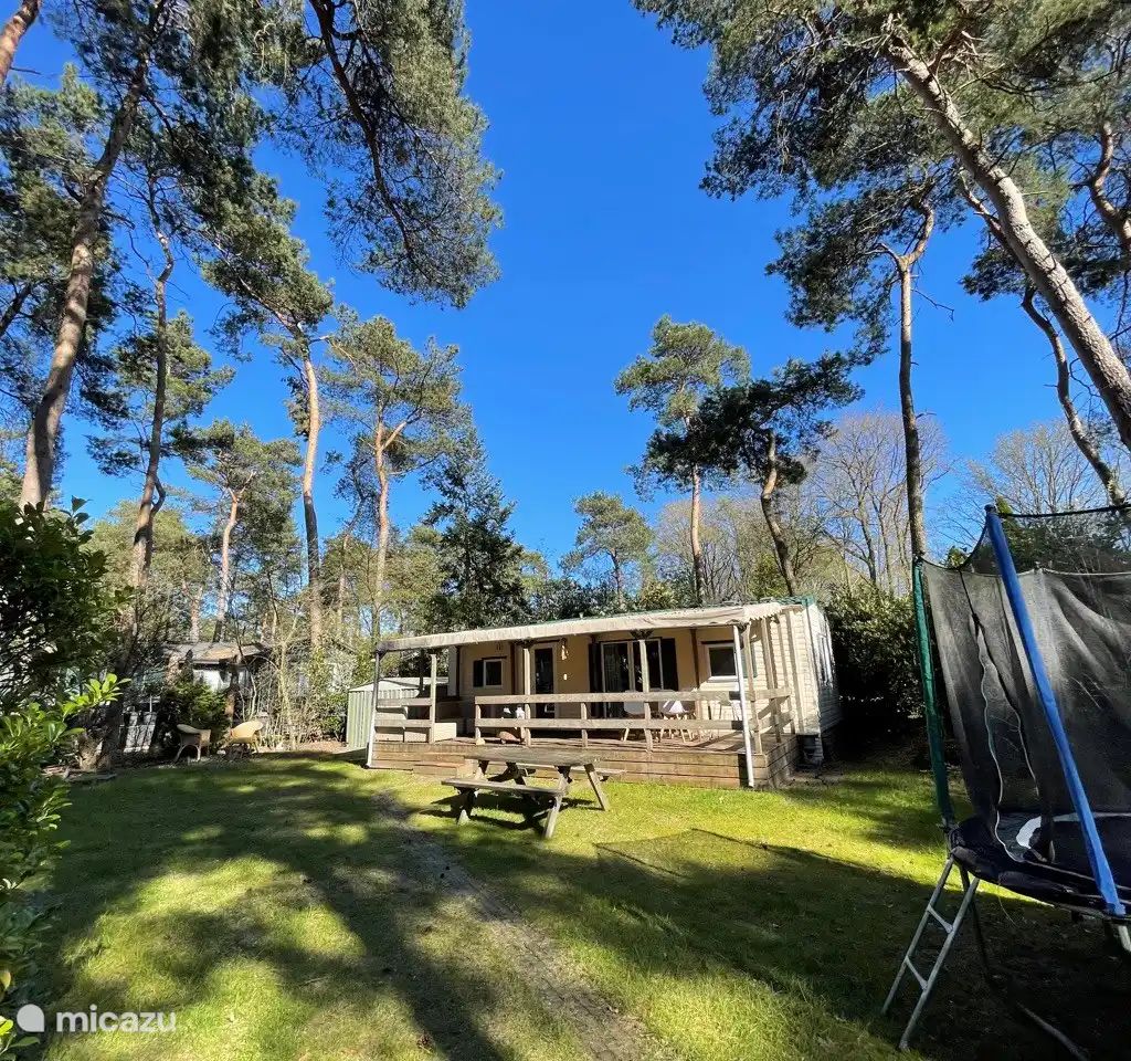 Guest house 531016 - Chalet Salland - Huisje Sillie op 5* Krieghuusbelten