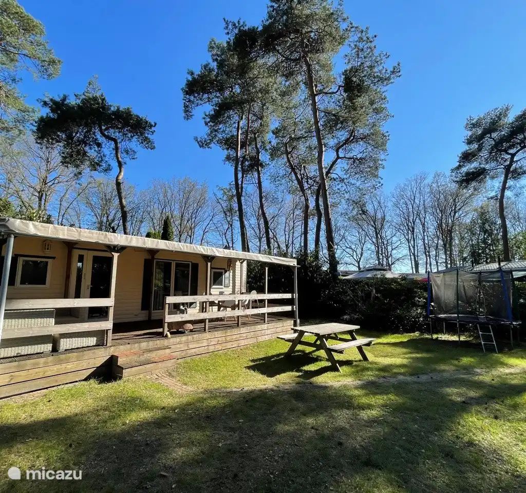 Guest house 531016 - Chalet Salland - Huisje Sillie op 5* Krieghuusbelten
