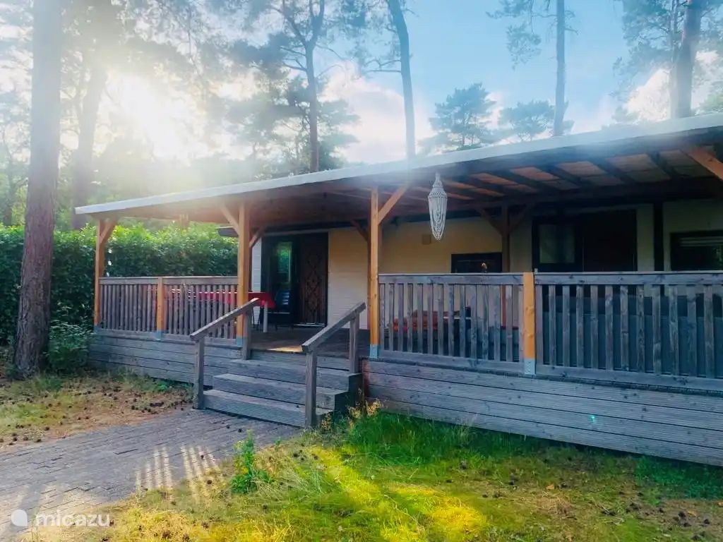 Guest house 531021 - Chalet Salland - Huisje Veronica