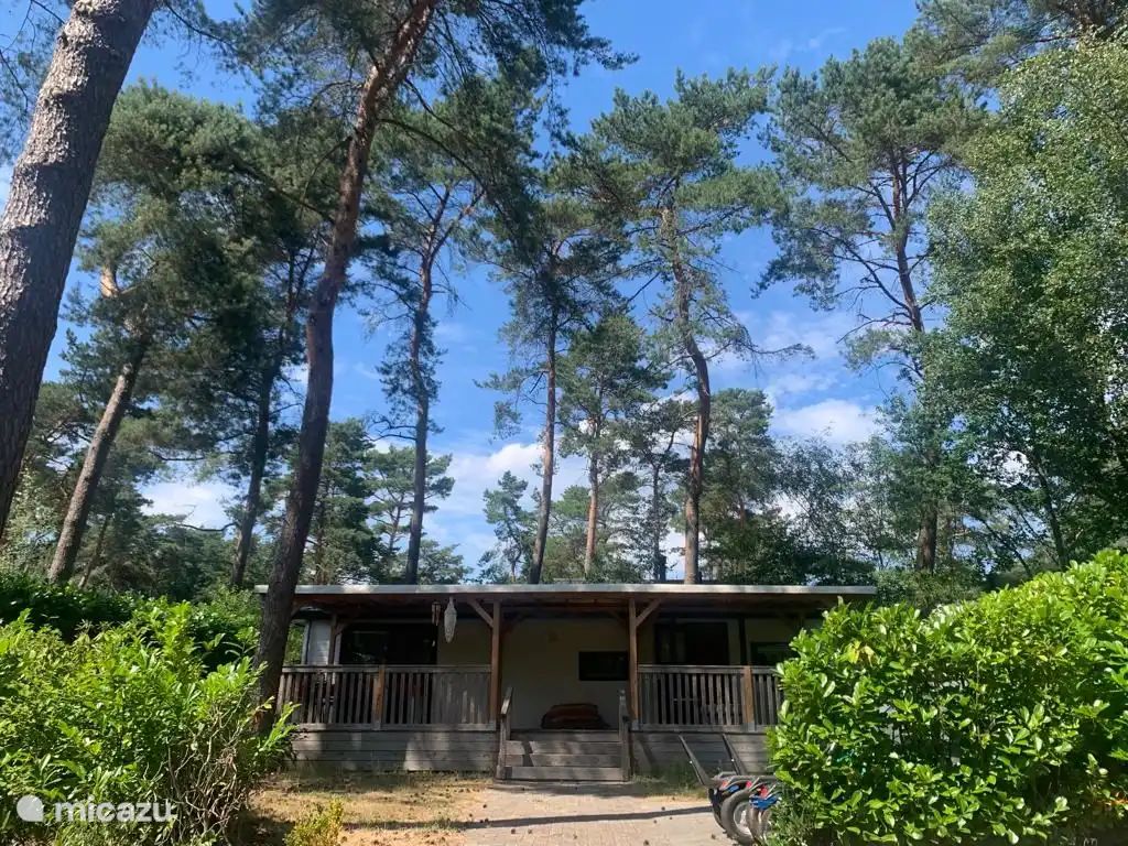 Guest house 531021 - Chalet Salland - Huisje Veronica