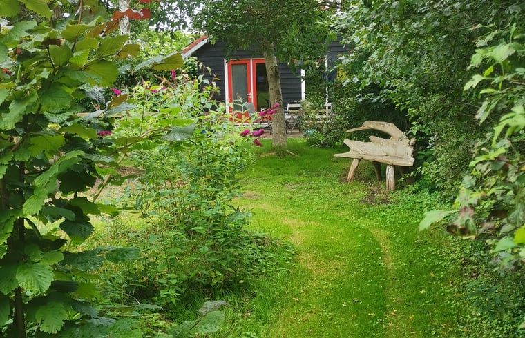 Unterkunft 531103 - Ferienhaus Salland - Huisje in Welsum