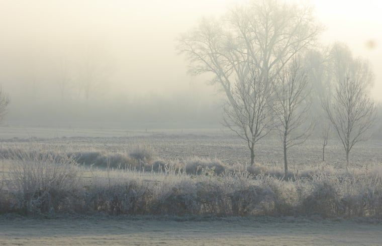 Unterkunft 531103 - Ferienhaus Salland - Huisje in Welsum