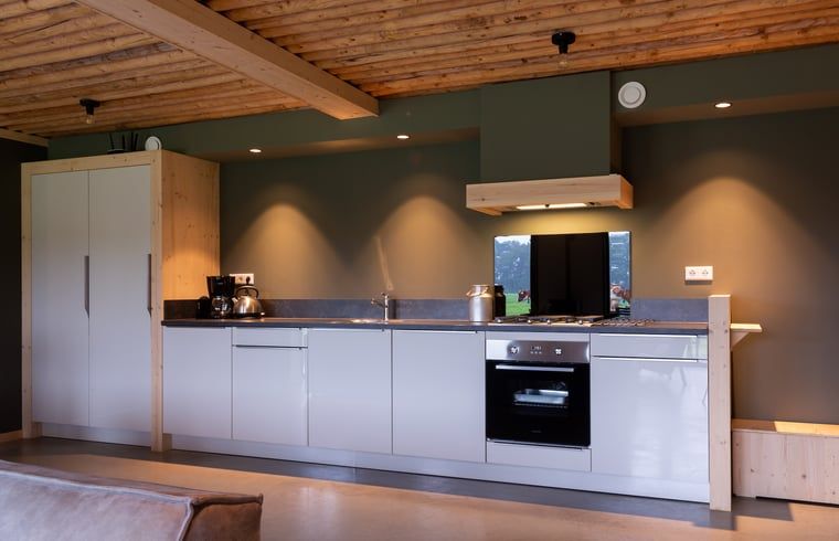 Stylish kitchen in Holiday Home in Heeten, located in beautiful Salland, Overijssel.