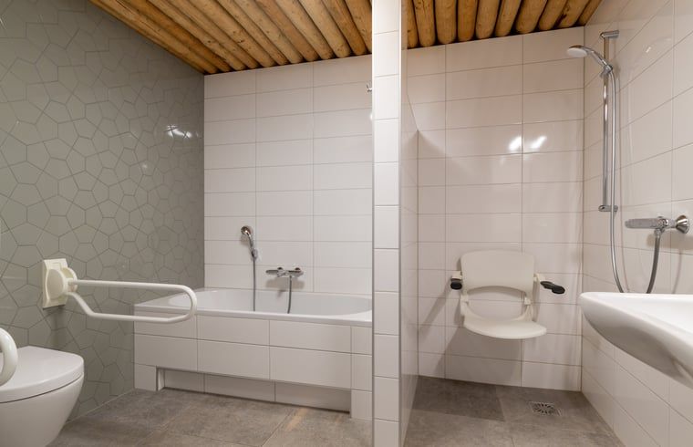 Stylish bathroom with amenities in Holiday Home in Heeten, located in beautiful Salland, Overijssel.