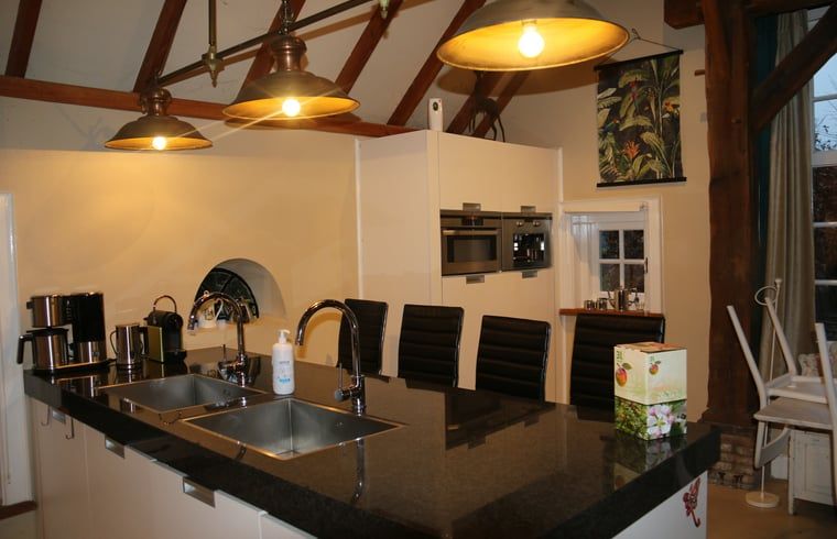 Stylish kitchen in cottage in Heeten, Salland, equipped with modern appliances.