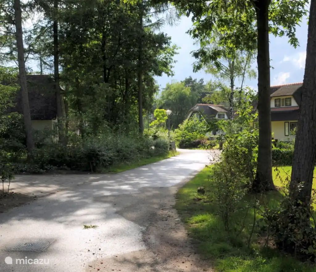 Verblijf 531311 - Vakantiewoning Salland - Wildeman