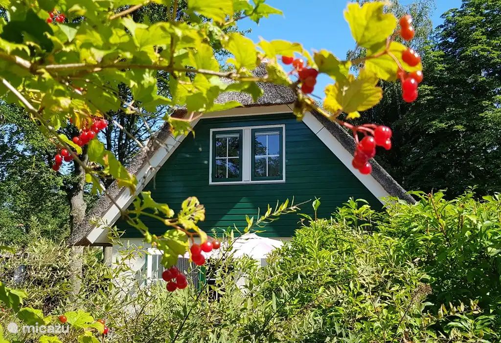 Guest house 531313 - Holiday property Salland - Salland Vakantie