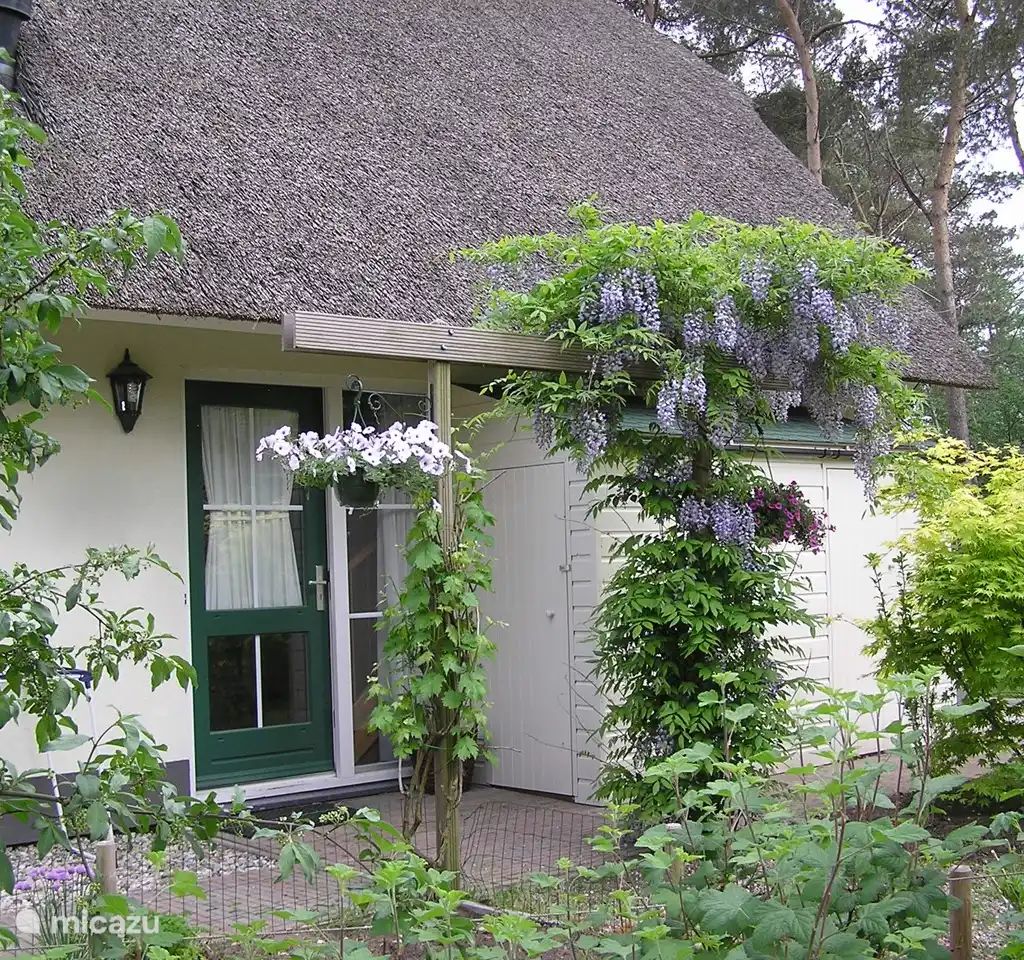 Guest house 531320 - Holiday property Salland - Bosvilla Elfie