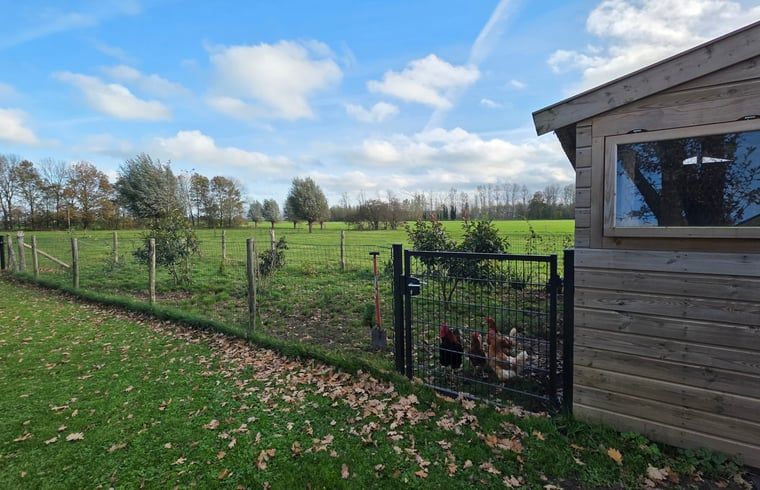 Blick auf gruene Felder und laendliche Umgebung in Huisje in Olst, Ferienhaus in Salland, Overijssel, ideal fuer Ruhesuchende.