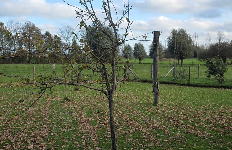 Unterkunft 531711 - Ferienhaus Salland - Huisje in Olst