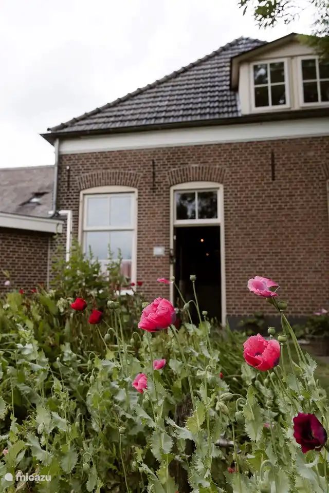 Guest house 531714 - Holiday property Salland - Logeren bij de Droste 11A