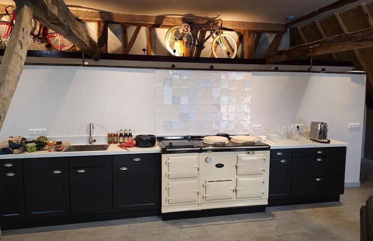 Spacious terrace at Holiday home in Nieuwleusen, Salland, with thatched roof in Overijssel.