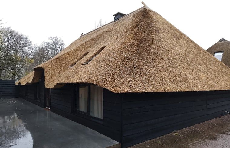 Traditional thatched roof of Holiday home in Nieuwleusen, Salland, located in Overijssel.