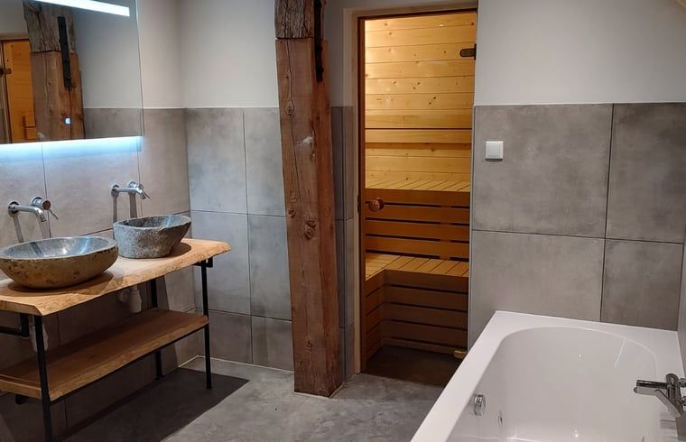 Luxury bathroom with sauna in Holiday home in Nieuwleusen, Salland, Overijssel.