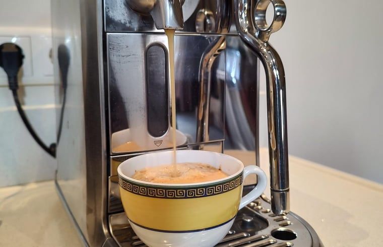 Fresh coffee in Holiday home in Nieuwleusen, Salland, with luxury machine in Overijssel.