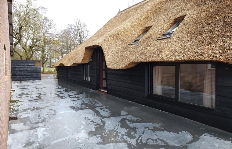Spacious terrace with thatched roof in Holiday home in Nieuwleusen, Salland, Overijssel.