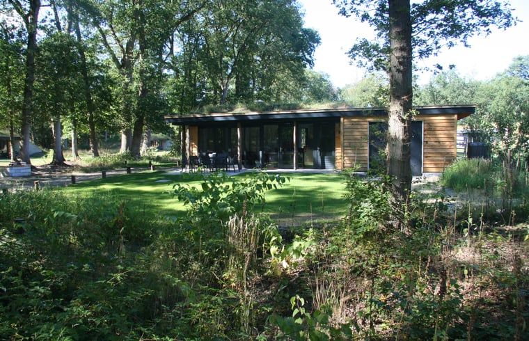Cottage in Hellendoorn, a charming vacation home surrounded by green nature in Salland, Overijssel.