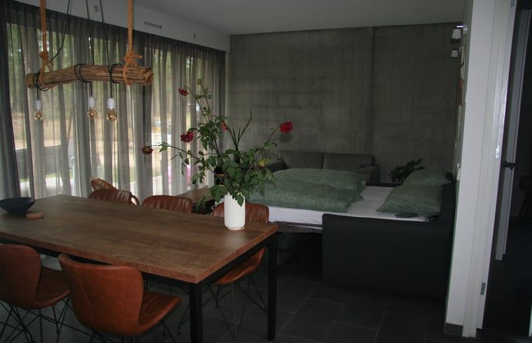 Cozy indoor area of Holiday Home in Hellendoorn, Overijssel, with a modern dining room and comfortable sitting area.