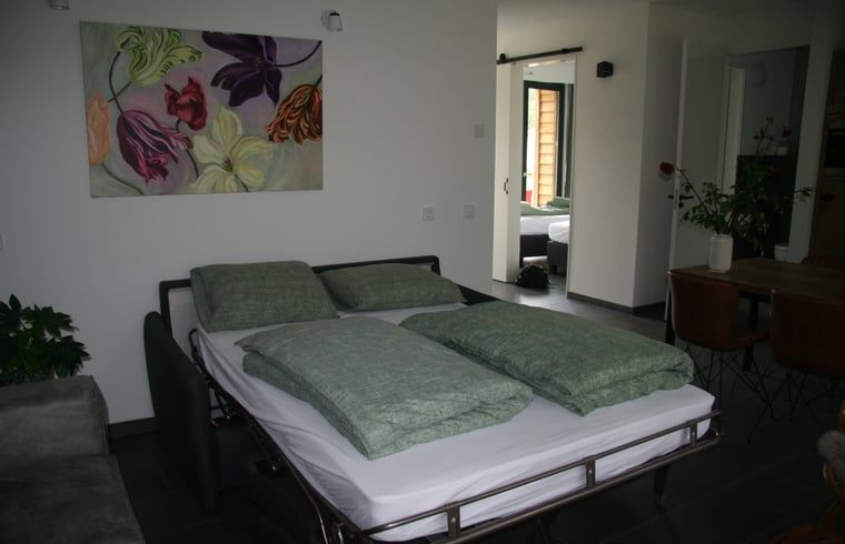 Guest house 532207 - Holiday property Salland - Vakantiehuisje in Hellendoorn