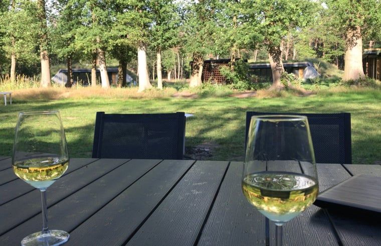 Guest house 532207 - Holiday property Salland - Vakantiehuisje in Hellendoorn