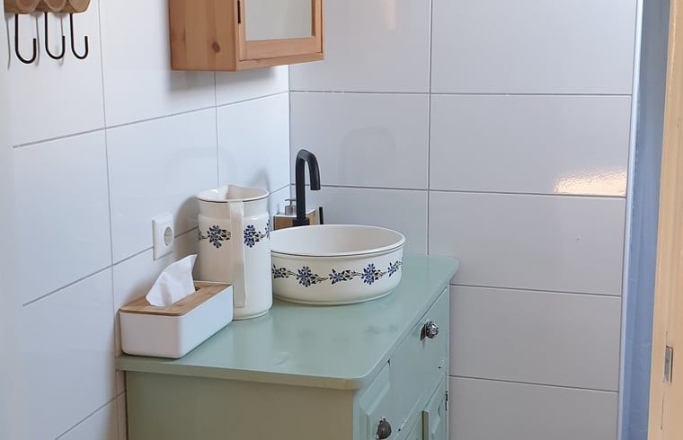Stilvolles Badezimmer im Ferienhaus in Hellendoorn, Salland, Overijssel, mit altem Waschbecken und modernen Akzenten.