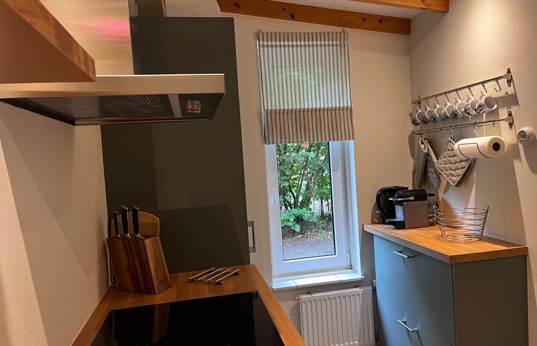 Guest house 532214 - Holiday property Salland - Huisje in Hellendoorn