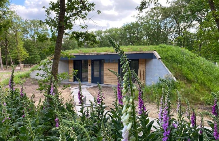 Vakantiehuis in Hellendoorn omgeven door groene natuur en bloemen, perfect voor een ontspannen verblijf in Salland, Overijssel.