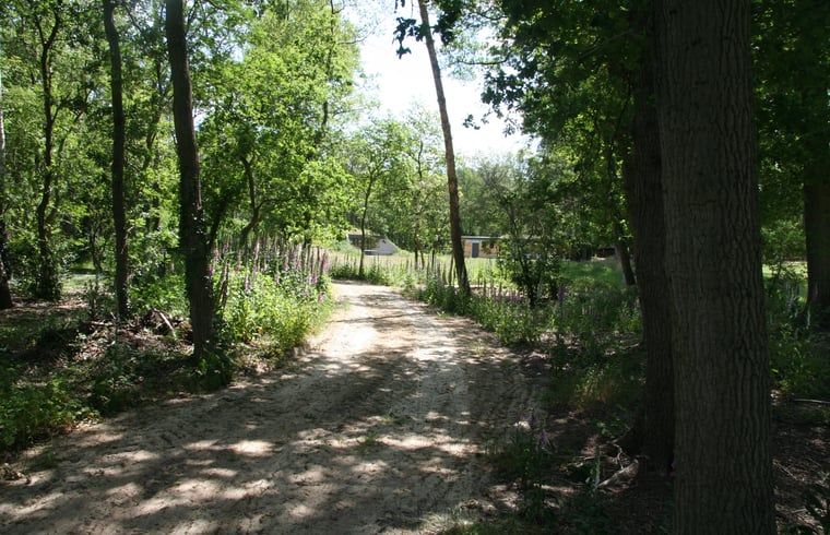 Verblijf 532224 - Vakantiewoning Salland - Vakantiehuis in Hellendoorn