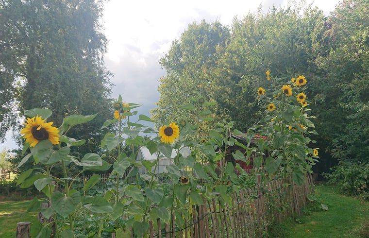 Unterkunft 532234 - Ferienhaus Salland - Huisje in Hellendoorn