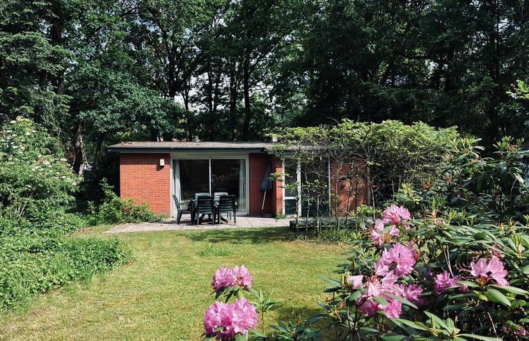 Cottage in Hellendoorn mit Terrasse und Garten in Salland, Overijssel.