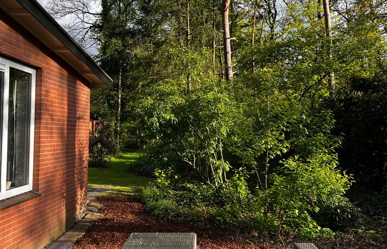 Gruene Umgebung um Ferienhaus in Hellendoorn, Salland, Overijssel.