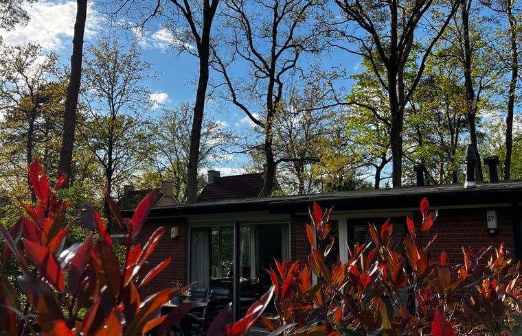 Blick auf die Natur vom Ferienhaus in Hellendoorn, Salland.