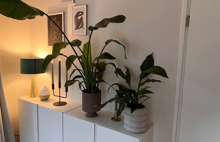 Stilvolle Einrichtung im Ferienhaus in Hellendoorn, Salland, Overijssel.