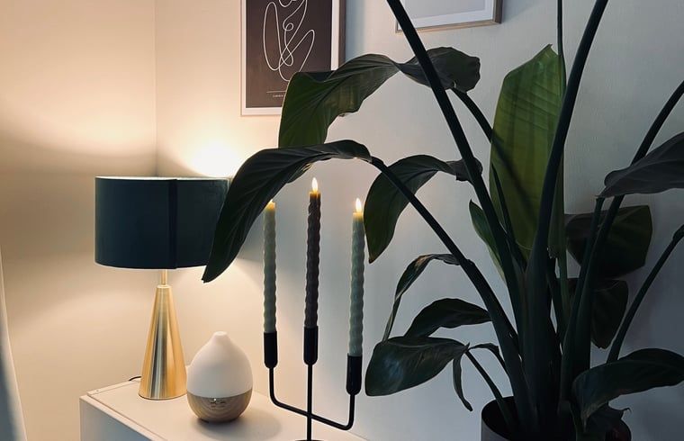 Stimmungsvolle Ecke mit Pflanzen im Ferienhaus in Hellendoorn, Salland.