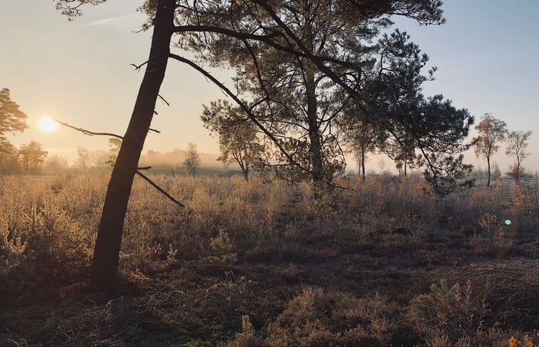 Sonnenaufgang in der Natur beim Ferienhaus in Hellendoorn, Salland, Overijssel.