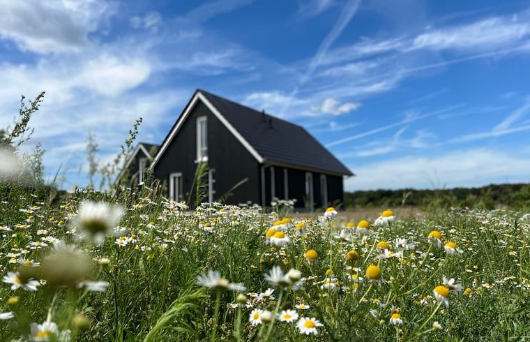 Vakantiehuis in Hellendoorn in een veld vol bloemen, een idyllische setting in Salland, Overijssel.