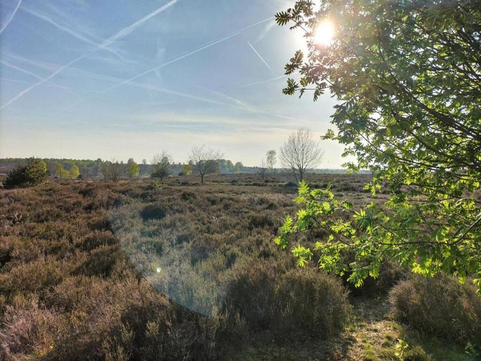 Verblijf 533215 - Vakantiewoning Salland - Park Haarle